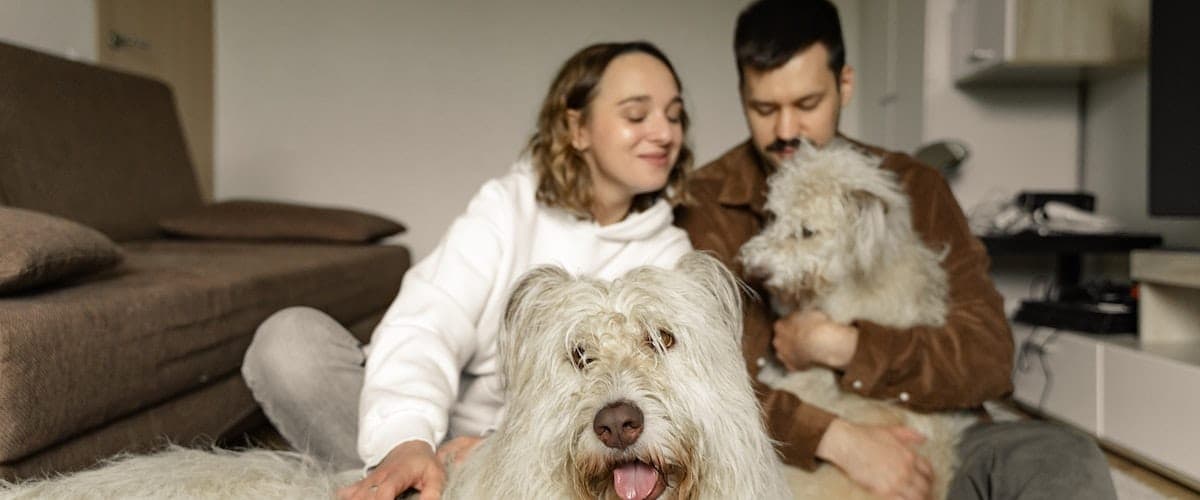 Dierendag-1200x500-1