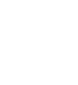 Virgin Megastore