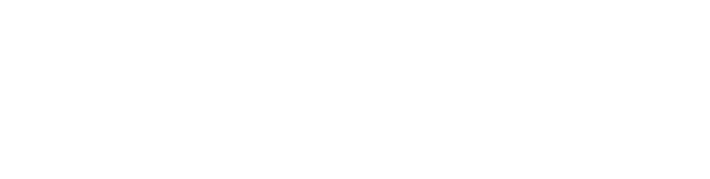 Travelski