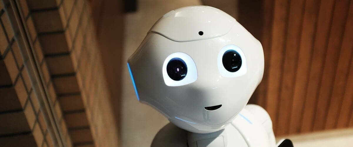 chatbots web