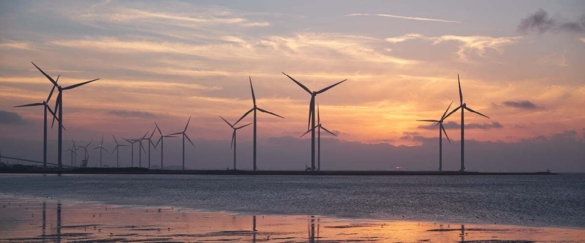 schone energie web