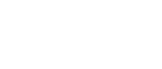 VIDA XL