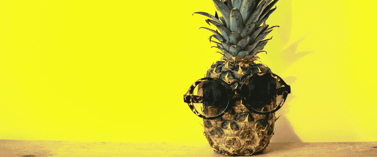 Ananas-7-tips-sappig-1200x500-1